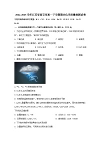 2024-2025学年江苏省南京市高一下学期期末化学质量检测试卷（含解析）