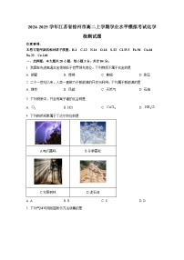 2024-2025学年江苏省徐州市高二上学期学业水平模拟考试化学检测试题（含解析）