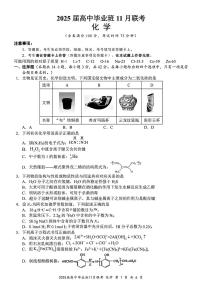 2025广西新课程教研联盟高三上学期11月联考试题化学PDF版含解析