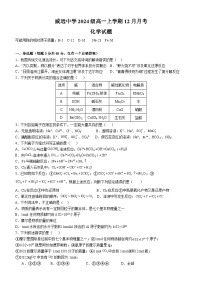 四川省内江市威远中学2024-2025学年高一上学期12月月考化学试题（Word版附解析）