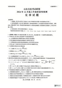 山东省济南市名校考试联盟2024-2025学年高三上学期12月月考 化学试题