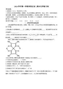 上海奉贤区2024-2025学年高三上学期期末考试（一模）化学试题（含答案）