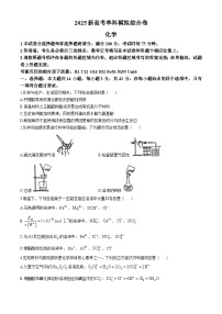 河北省邯郸市部分学校2024-2025学年高三上学期11月模拟预测化学试卷（Word版附解析）