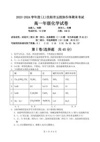 辽宁省沈阳市五校协作体2023-2024学年高一上学期期末考试 化学试卷