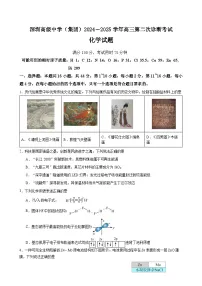 2025深圳高级中学高三上学期第二次诊断考试化学试题含答案