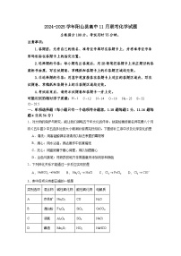 广东省清远市阳山县高中联考2024-2025学年高一上学期11月月考化学试题（Word版附解析）