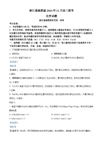 浙江省强基联盟2024-2025学年高二上学期11月期中联考化学试题（Word版附解析）