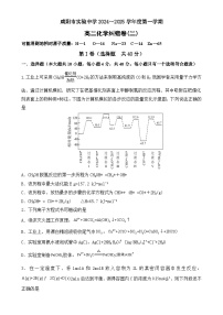 陕西省咸阳市实验中学2024-2025学年高二上学期第二次月考纠错卷 化学试题-A4