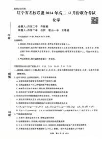 辽宁省名校联盟2024-2025学年高二上学期12月联考 化学试卷