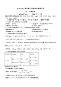 江苏省连云港市灌南县2024-2025学年高二上学期11月期中考试化学试卷（Word版附答案）