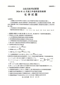 山东省名校考试联盟2025届高三上学期12月阶段性检测化学试卷（PDF版附答案）