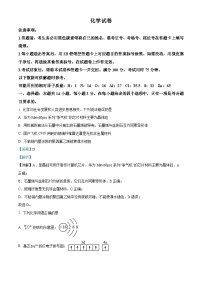 2025贵州省高三上学期11月期中考试化学含解析