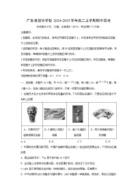 2024~2025学年广东省部分学校高二(上)期中联考化学试卷