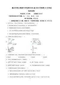 重庆市秀山高级中学校2024-2025学年高二上学期12月第三次月考 化学试题