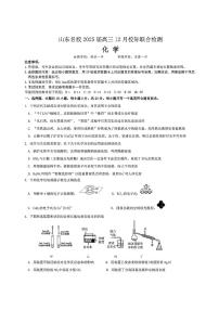 山东省部分名校2025届高三上学期12月校际联合检测化学试题+答案