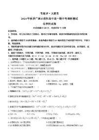 2025壮族自治区玉林高一上学期11月期中考试化学无答案