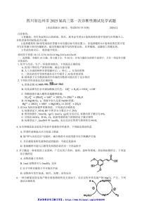 2025届四川省达州市高三(上)第一次诊断性测试化学试卷(含答案)