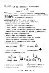 山东省青岛第十五中学等学校2024-2025学年高三上学期12月校际联合检测 化学试题