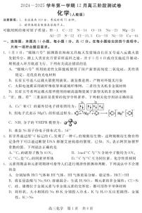 河北省新时代NT教育2024-2025学年高三上学期12月阶段测试化学试卷（PDF版附解析）