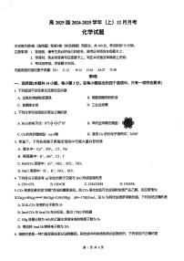 重庆育才中学2025届高三上学期12月月考化学试题+答案