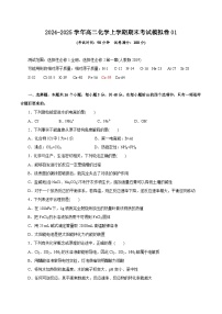 2024-2025学年高二化学上学期期末考试模拟卷01（含答案解析）