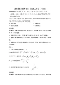 河南省驻马店市2024届高三(上)1月期末化学试卷(解析版)