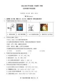 海南省海口某校2024-2025学年高一上学期期中考试 化学试题