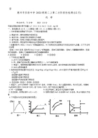 广东省惠州市实验中学2024-2025学年高二上学期12月月考化学试题