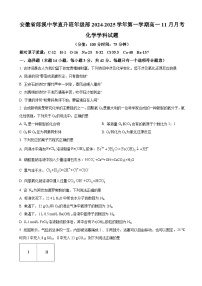 安徽省郎溪中学直升班年级部2024-2025学年高一上学期11月月考化学试题