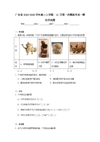 广东省2024-2025学年高三上学期12月第一次模拟考试一模化学试题