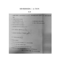 河南省洛阳市九师联盟2024-2025学年高二上学期12月月考 化学试题