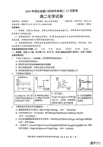 湖北省新八校协作体2024-2025学年高二上学期12月联考化学试卷（PDF版附答案）