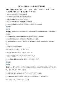 四川省广安市华蓥中学2024-2025学年高一上学期11月期中化学试卷（Word版附解析）