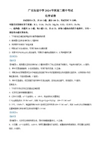 四川省广安市友谊中学2024-2025学年高二上学期期中考试化学试卷（Word版附解析）