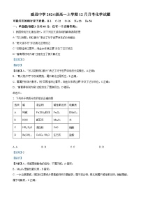 四川省内江市威远中学2024-2025学年高一上学期12月月考化学试卷（Word版附解析）