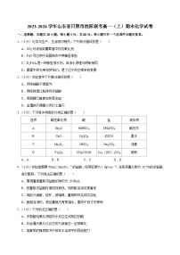 2023-2024学年山东省日照市校际联考高一（上）期末化学试卷
