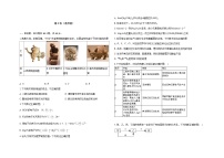 广东省2024-2025学年高三上学期12月第一次模拟考试化学试题