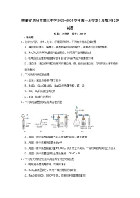 安徽省阜阳市第三中学2023-2024学年高一上学期1月期末化学试题