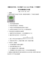 安徽省宿州市省、市示范高中2023-2024学年高二下学期期中教学质量检测化学试题
