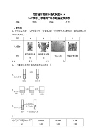 安徽省示范高中培优联盟2024-2025学年上学期高二冬季联赛化学试卷(含答案)