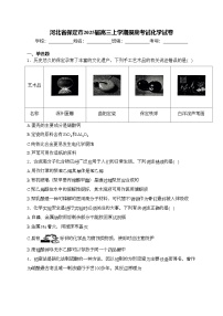 河北省保定市2025届高三上学期摸底考试化学试卷(含答案)