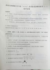 西南名校联盟2025届“3+3+3高考备考诊断性联考(一)化学试卷+答案