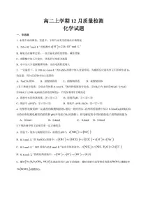 山东省济宁邹城市第二中学2024-2025学年高二上学期12月月考化学试题