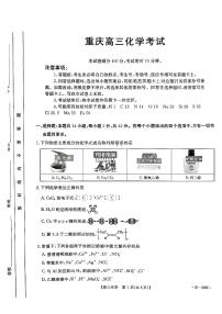 重庆市2024-2025学年高三上学期12月月考化学试题
