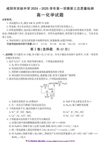 2024～2025学年咸阳市实验中学高一(上)第三次质量检测化学试卷(含答案)
