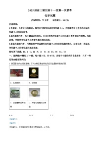 湖北省十一校2024-2025学年高三上学期第一次联考化学试卷（Word版附解析）