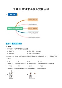 专题5 常见非金属及其化合物-备战2025年高中学业水平合格考化学真题分类汇编（全国通用）.zip