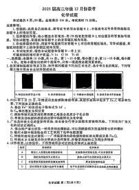 广东省衡水金卷2025届高三上学期12月联考-化学试卷+答案