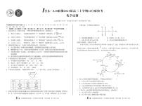 1号卷·A10联盟2025届高三上学期12月质检考化学试题+答案