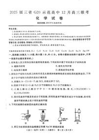 河南省等三省G20示范高中2025届高三上学期12月联考化学试卷